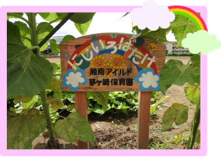 にじいろばたけ